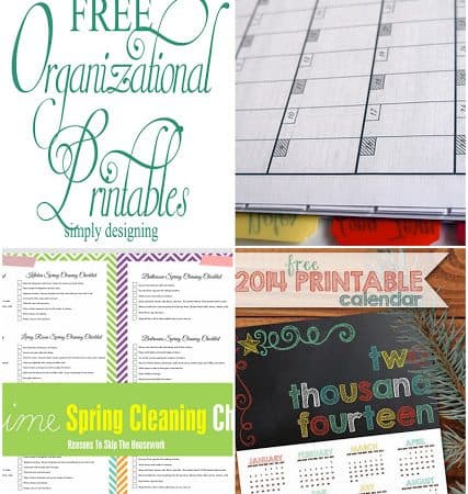 11 Free Organizational Printables