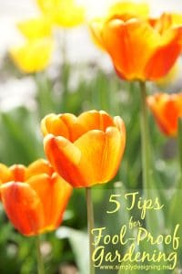 5+tips+for+fool+proof+gardening1 5 Tips for Fool-Proof Gardening #GroSomethingGreater #spon 12