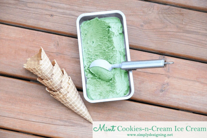 Ice Cream in Container DSC06307 Homemade Mint Cookies and Cream Ice Cream { #showusyourmess #pmedia #ad } 16 key lime pie pop