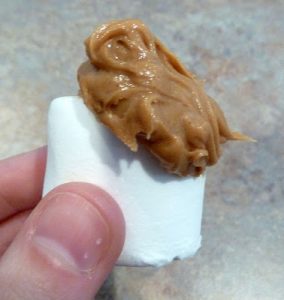 Playdough11 Peanut Butter & Marshmallow Playdough {Kid Craft} 11