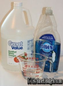 dawn+vinegar1 DIY Soap Scum Remover and Carpet Stain Remover 27
