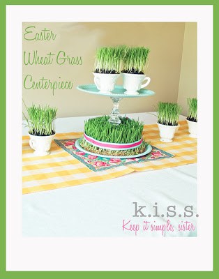 grass11 | Easter Wheat Grass | 9 | star projects