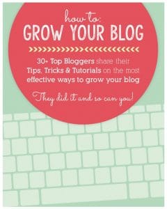 book cover 01 How to Grow Your Blog eBook 3 Things I Learned at a Blog Conference