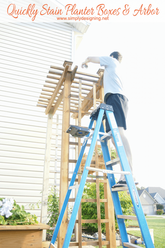 How to Quickly Stain an Arbor in about 15 minutes #stain #staining #diy #exterior