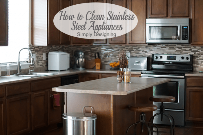 Clean Stainless Steel Kitchen Appliances