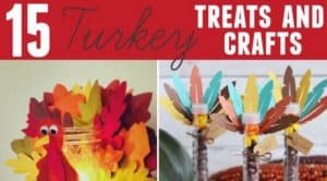 Turkey Treats and Crafts 15 Turkey Treats and Crafts 3 Silhouette Portrait Giveaway