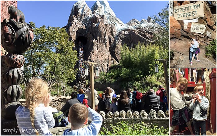 Expedition Everest Ride at Disney's Animal Kingdom