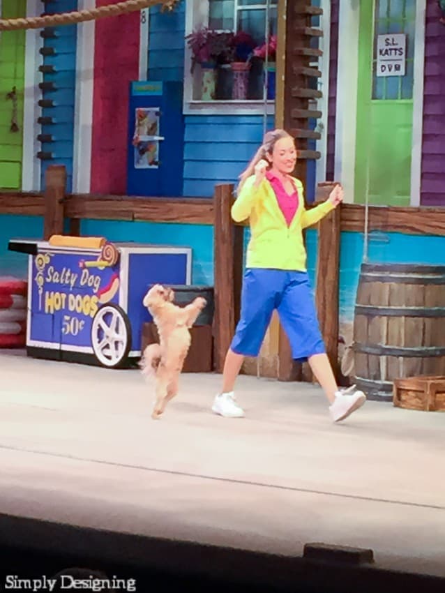 Pets Ahoy Show