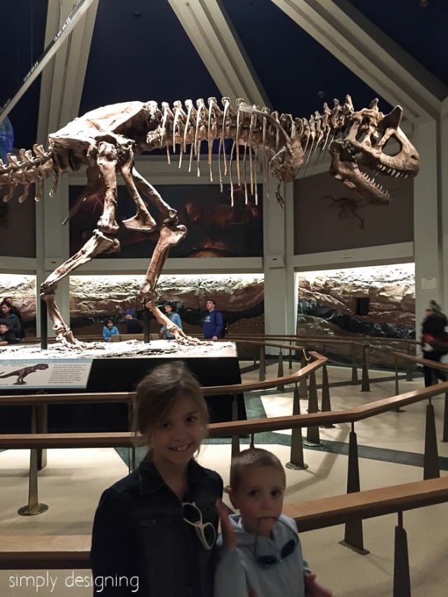 Dinosaur skeleton at Animal Kingdom
