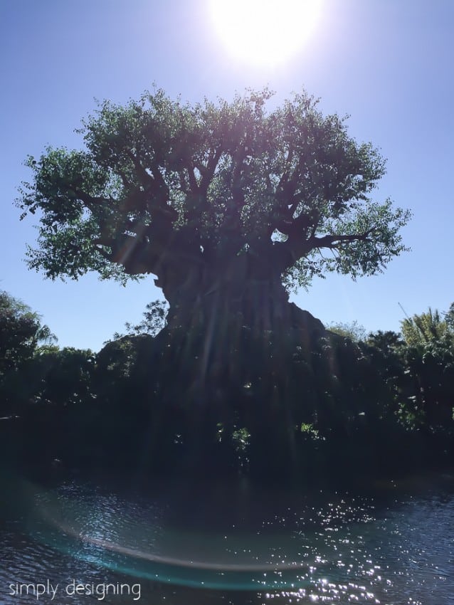 Animal Kingdom Tree of Life