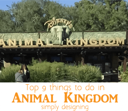 Top 9 things to do in Animal Kingdom - featured image