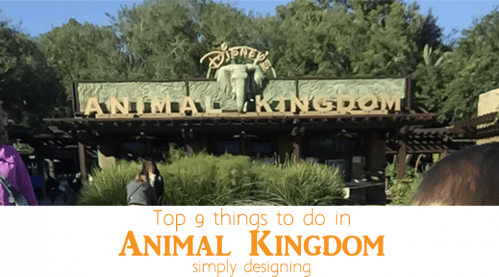 Top 9 things to do in Animal Kingdom - featured image