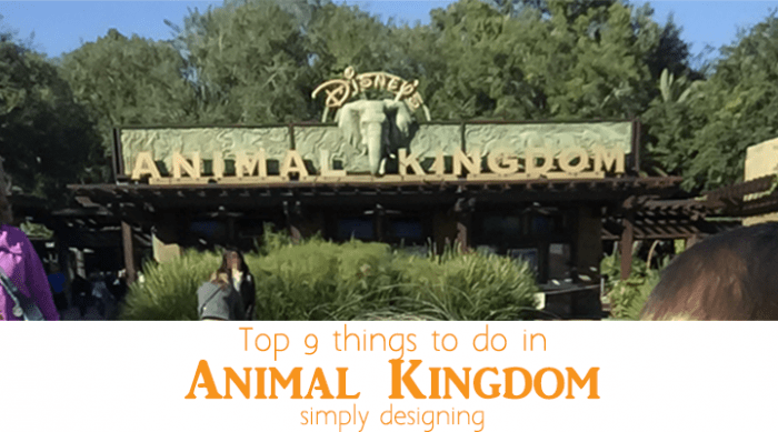 Top 9 things to do in Animal Kingdom featured image1 | Animal Kingdom | The Top 9 Things to do When You Visit | 16 | Full-Time RV Living