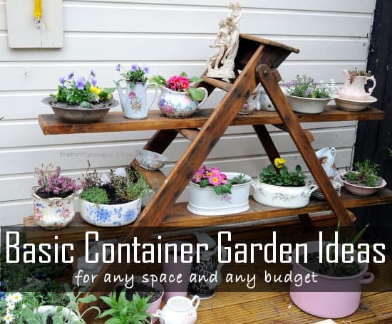 basic-container-garden-ideas-for-any-space-budget