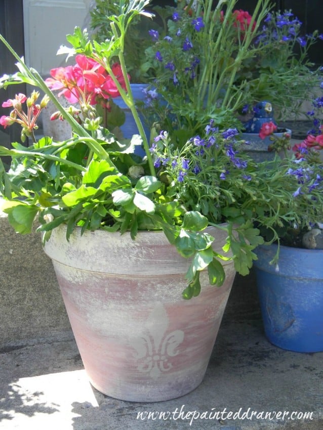 french flower pot