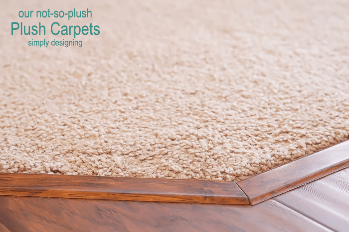 our not-so-plush Plush Carpets