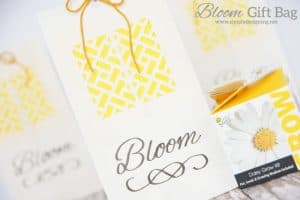 bloom bag close with logo Bloom Gift Bags 3 Father's Day Gift