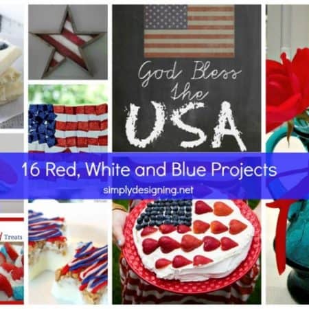 Red White and Blue Project Ideas