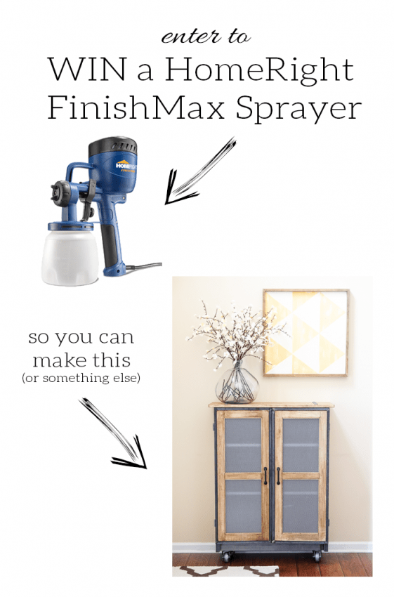 Paint Sprayer Giveaway