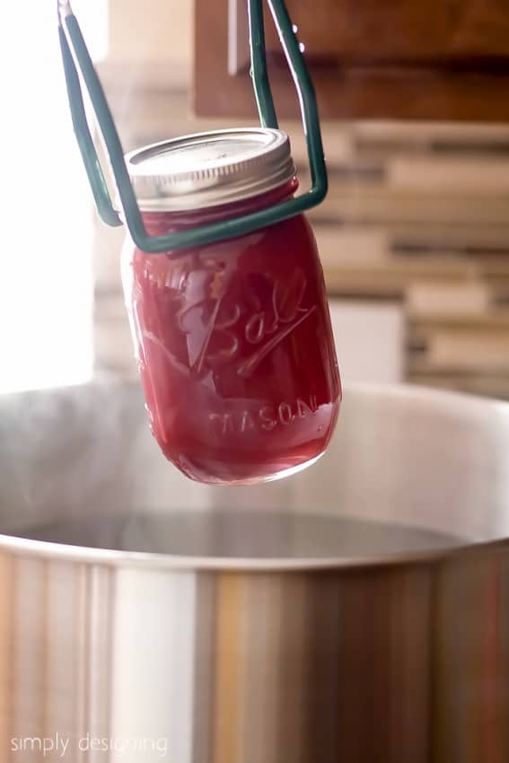 Raspberry Pomegranate Jelly