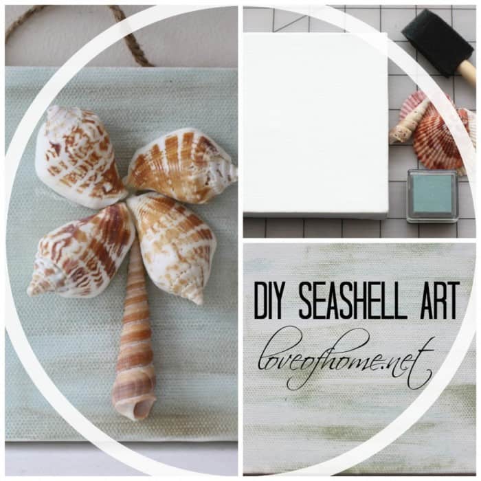 sea shell art