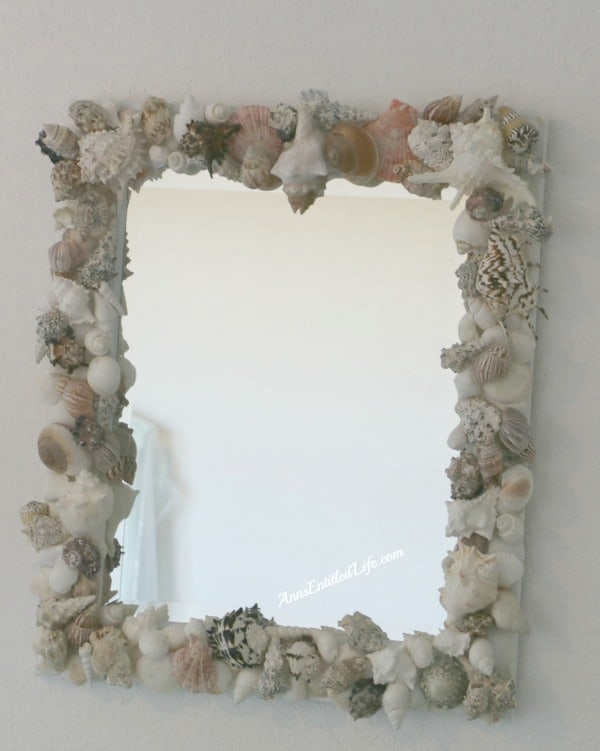 sea shell frame