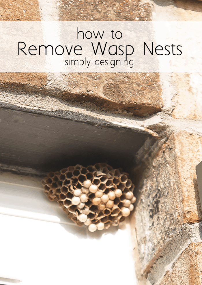 How to Get Rid of a Wasps Nest | Simply Designing with Ashley
