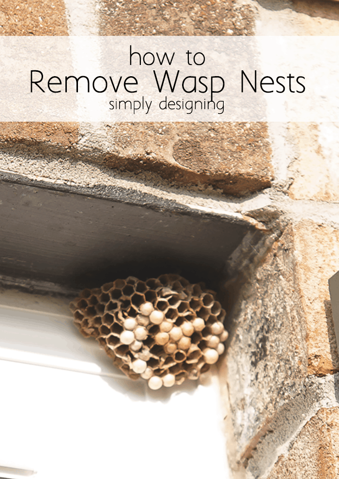 How to Get Rid of a Wasps Nest