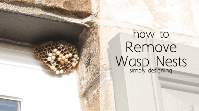 How to Remove Wasp Nests