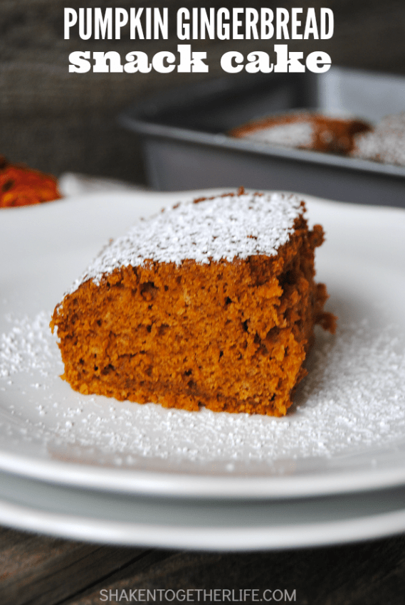 pumpkin-gingerbread-snack-cake-single