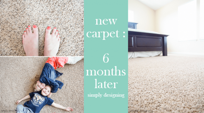 new carpet 6 months later - our review