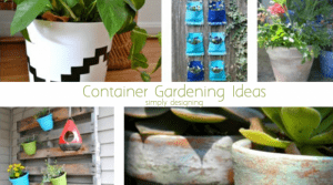 Container Gardening Featured image Container Gardening 4 Farmhouse Shelf