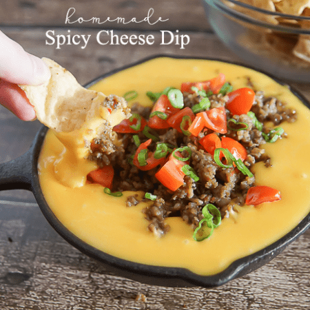 Homemade Spicy Cheese Dip Recipe