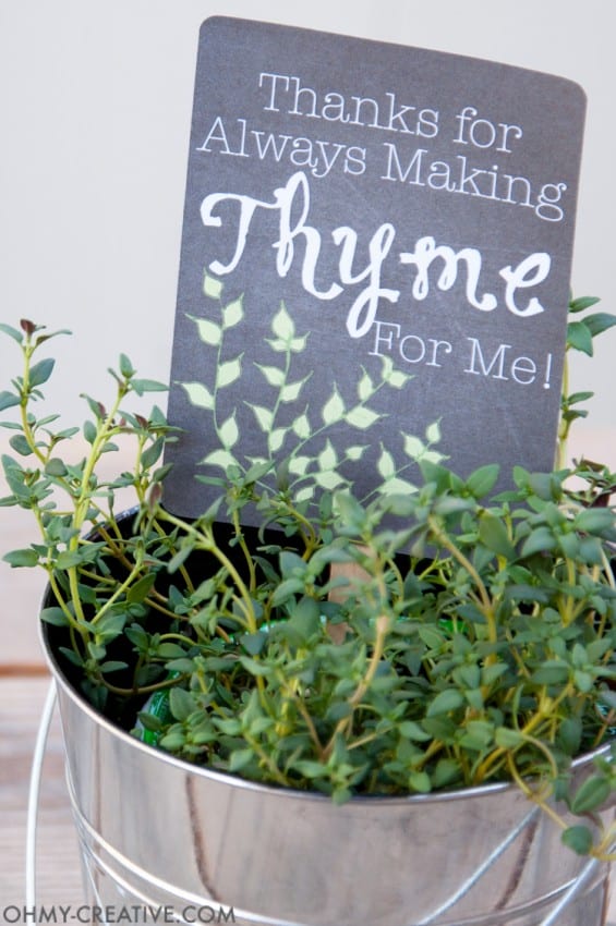 Potted-Herb-DIY-Gifts-with-Printable-Tags-4
