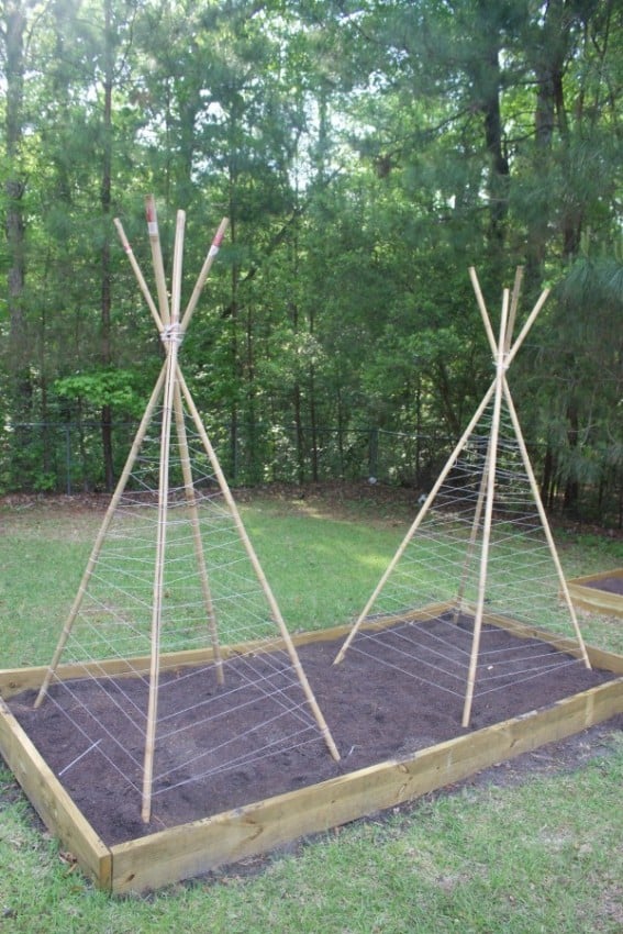 Completed-Bean-Teepees-The-Everyday-Home-600x900