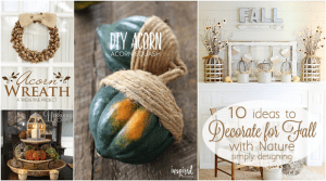 10 ideas to Decorate with Nature Mohawk featured image Decorate for Fall with Nature 4 pumpkin pie brownie