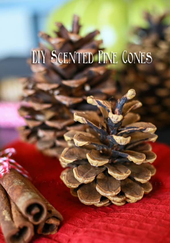 diy-scented-pinecones1
