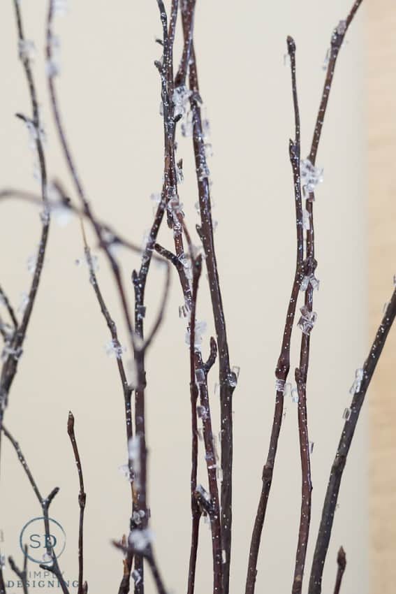 frosted twigs