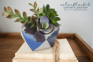 Colorblocked Cement Planter perfect for flowers or succulents How to Make a Colorblocked Cement Planter 3 paint shutters