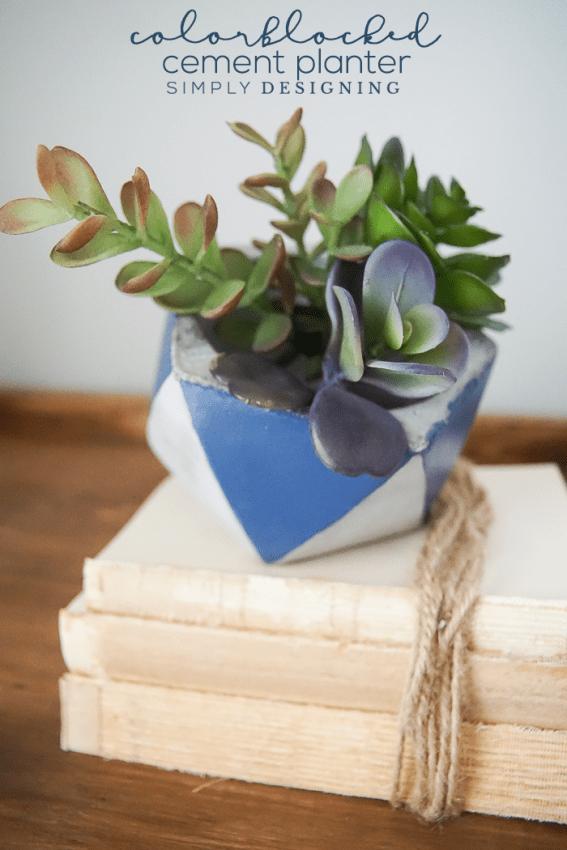 Colorblocked Cement Planter