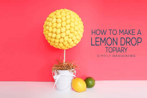 Make your own lemon drop topiary How to Make a Lemon Drop Topiary 2 watermelon decoration