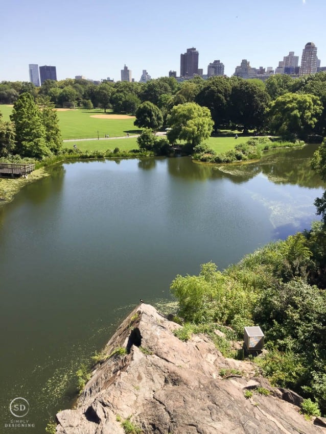 Central Park NYC