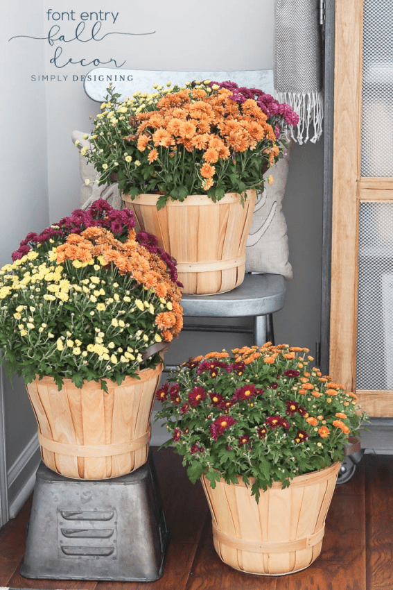 Front Entry Fall Decor with Multi Colored Mums