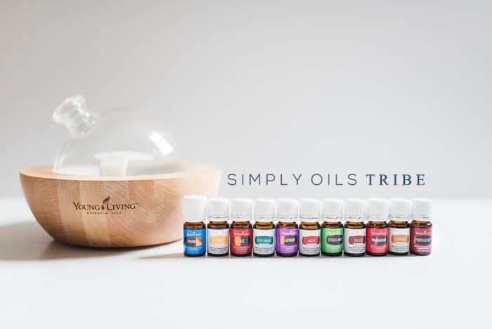 Simply Oils Tribe Image and Logo small | The 411 on Essential Oils | 11 | lavender bunny soap