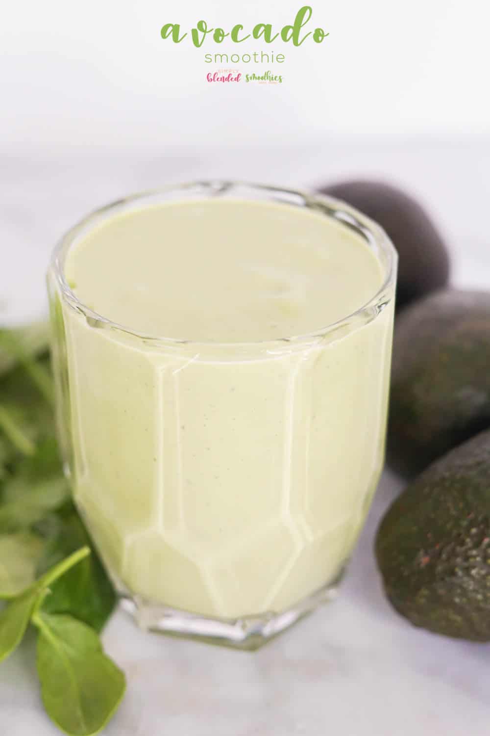 Avocado Smoothie 2 A healthy Avocado Smoothie Recipe