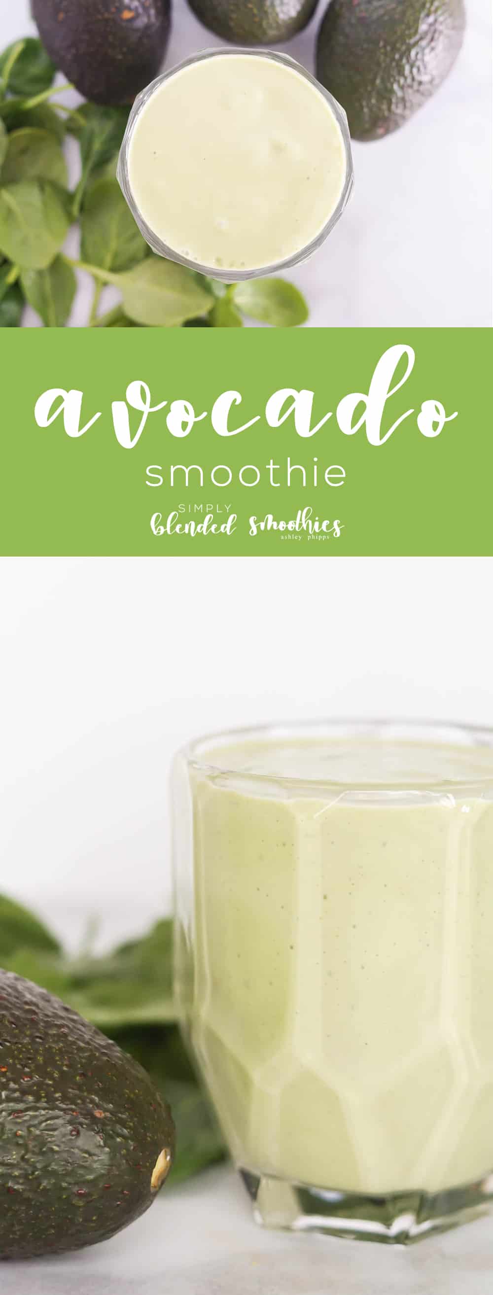 Avocado Smoothie - this avocado smoothie recipe is so delicious and a great way to start your day