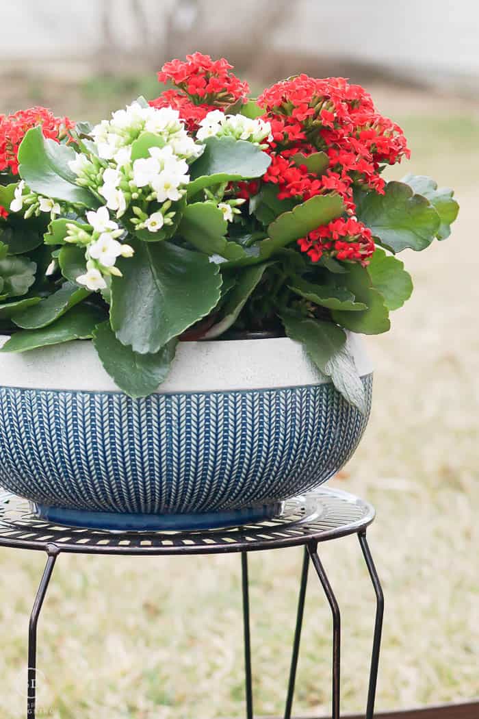 lattice plant stand with planter in teal