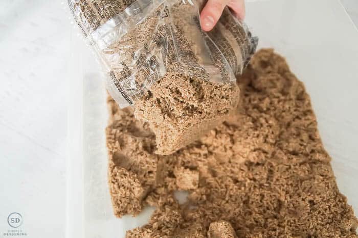 DIY Insect Sensory Bin  Simply Designing with Ashley