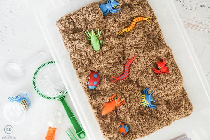 Insect Sensory Bin