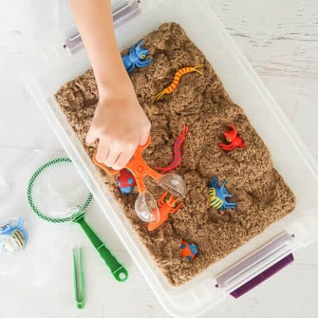 catching bugs in this DIY insect sensory bin